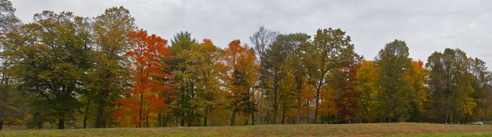315-1772--1776 Foliage by the Old Manse, Concord, MA.jpg
